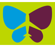 Jin Air